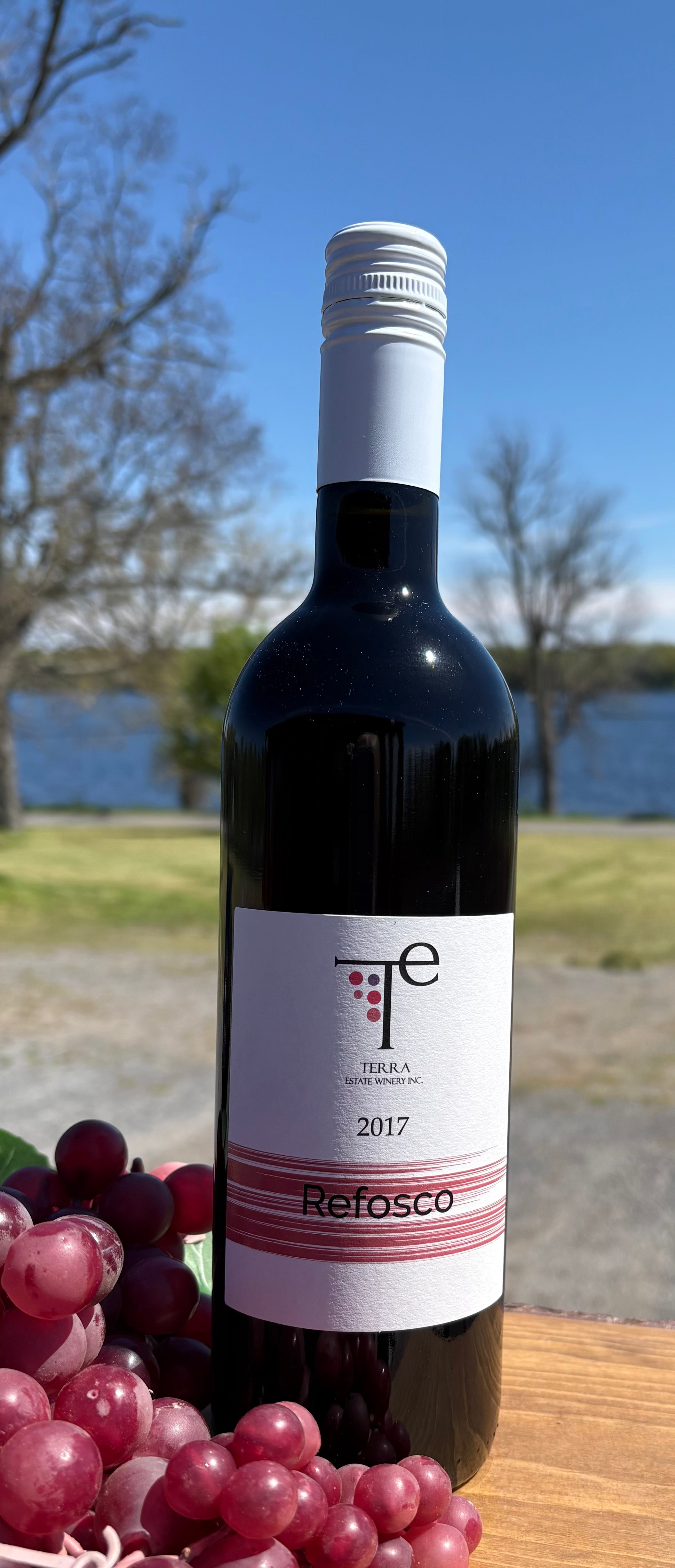 2017 Refosco by Terra Estate